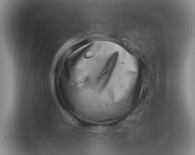 X0000113780197200910141045