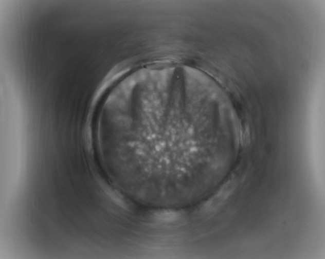 X0000113780198200910141045