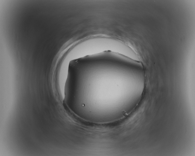 X0000113780199200910141045