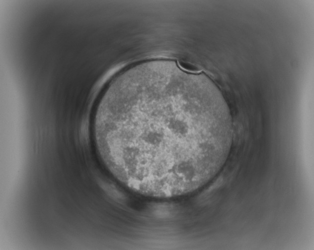 X0000113780200200910141045