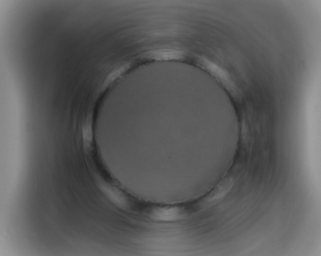 X0000113780202200910141045