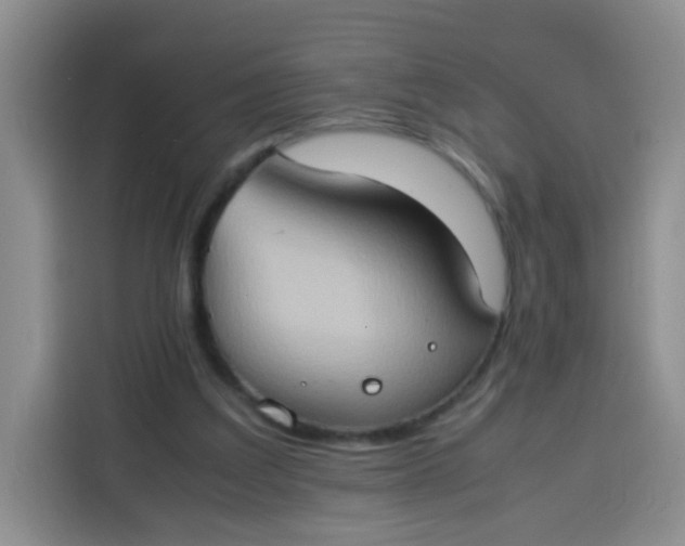 X0000113780203200910141045