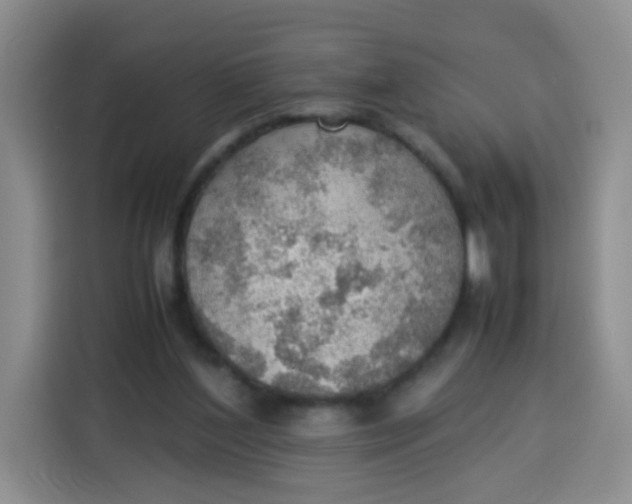 X0000113780204200910141045