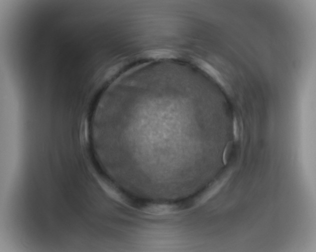 X0000113780205200910141045