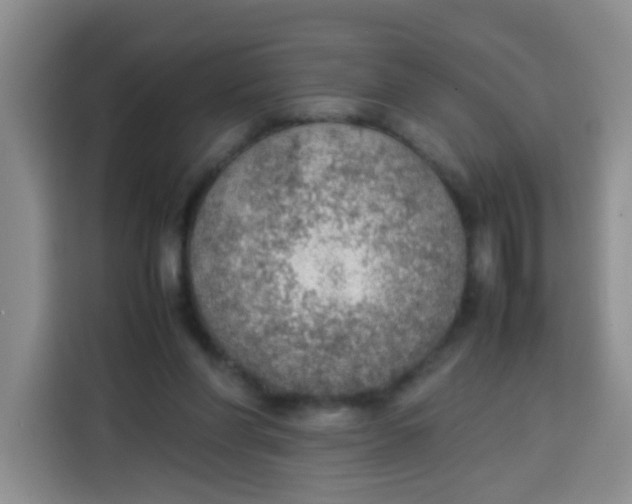 X0000113780206200910141045