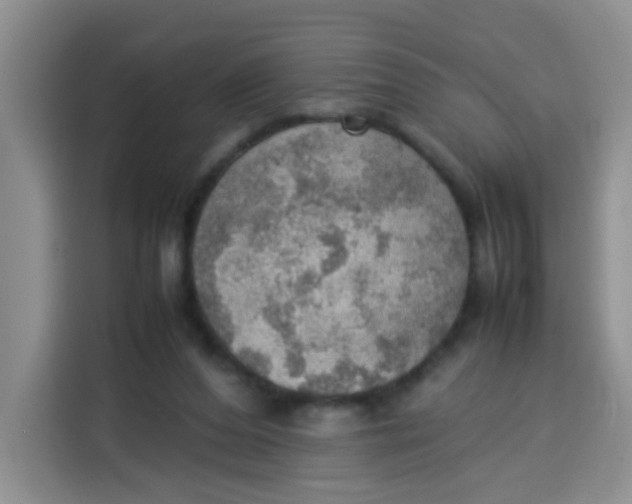 X0000113780208200910141045