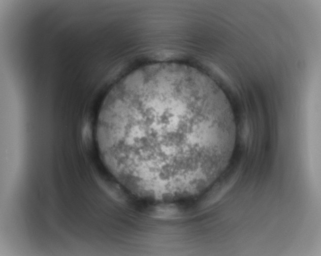 X0000113780214200910141045