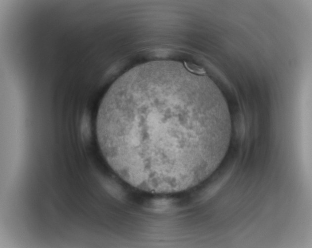 X0000113780216200910141045