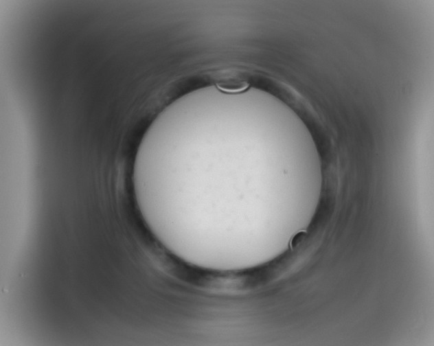 X0000113780217200910141045