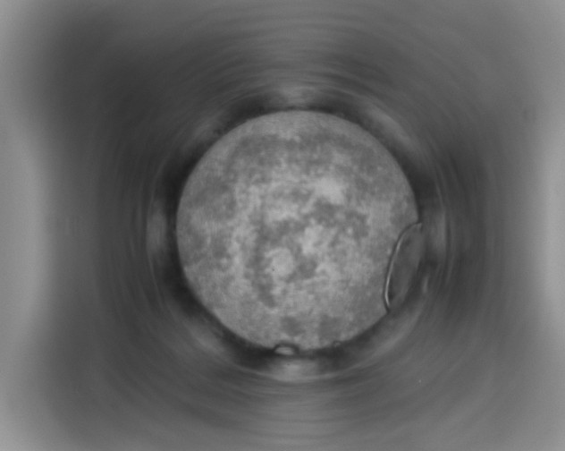 X0000113780220200910141045