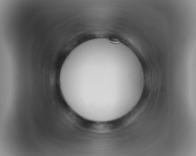 X0000113780221200910141045