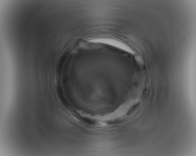 X0000113780227200910141045