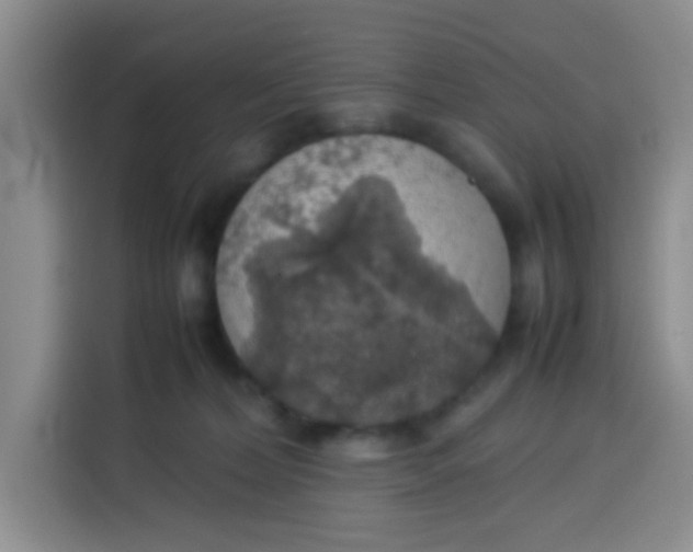 X0000113780228200910141045