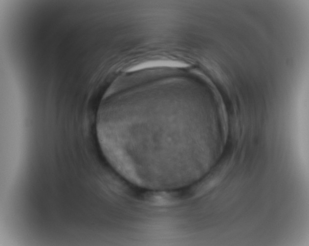 X0000113780229200910141045