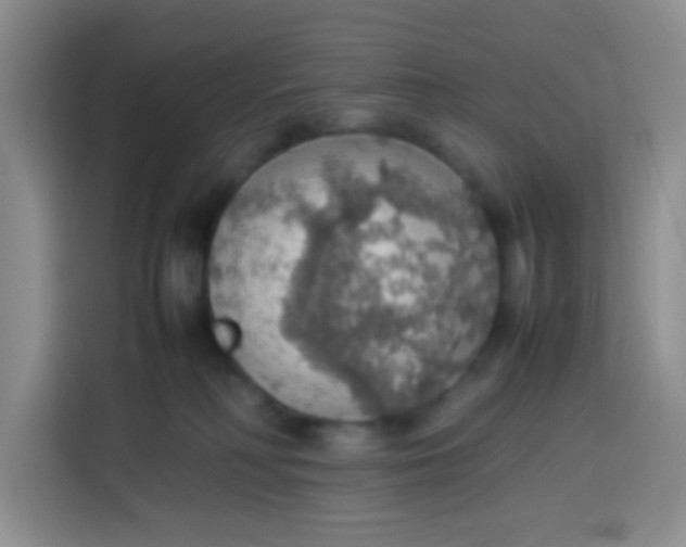 X0000113780230200910141045