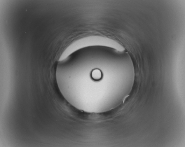 X0000113780231200910141045