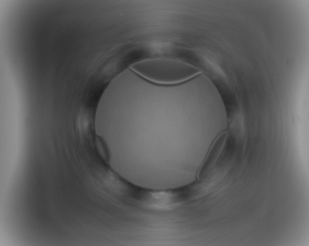 X0000113780233200910141045