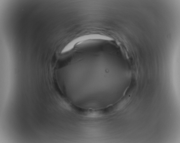 X0000113780235200910141045