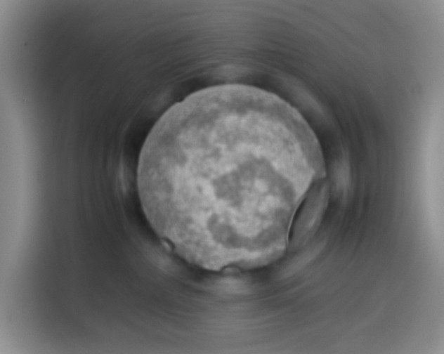 X0000113780236200910141045