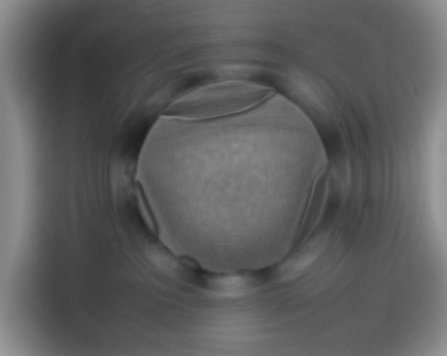 X0000113780237200910141045