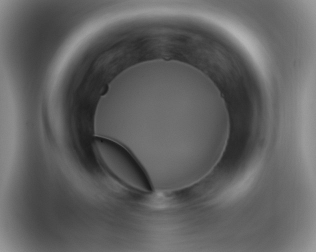 X0000113780239200910141044