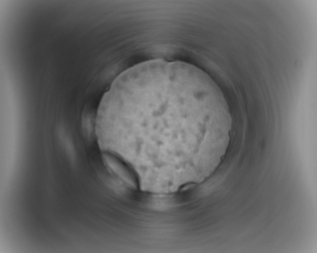 X0000113780240200910141044