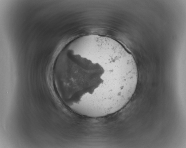 X0000113780241200910141044