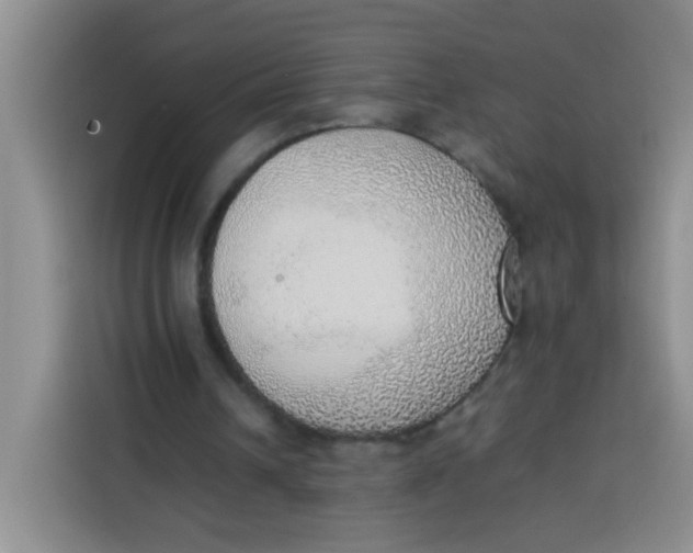 X0000113780242200910141044