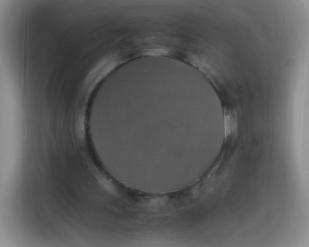 X0000113780243200910141044