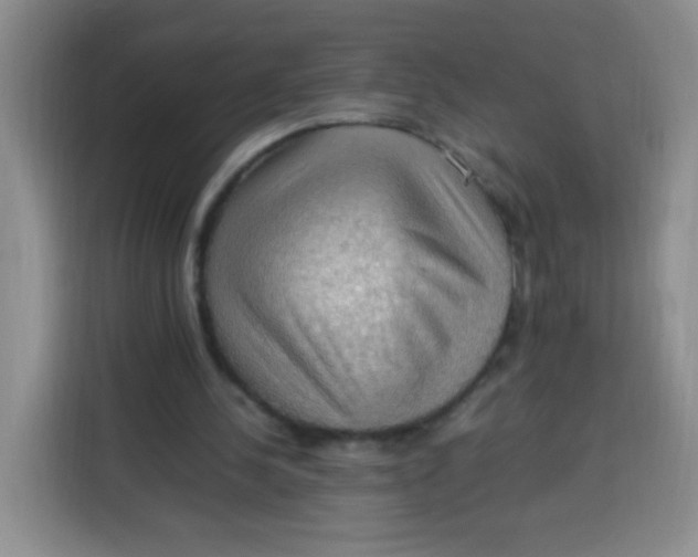 X0000113780244200910141044