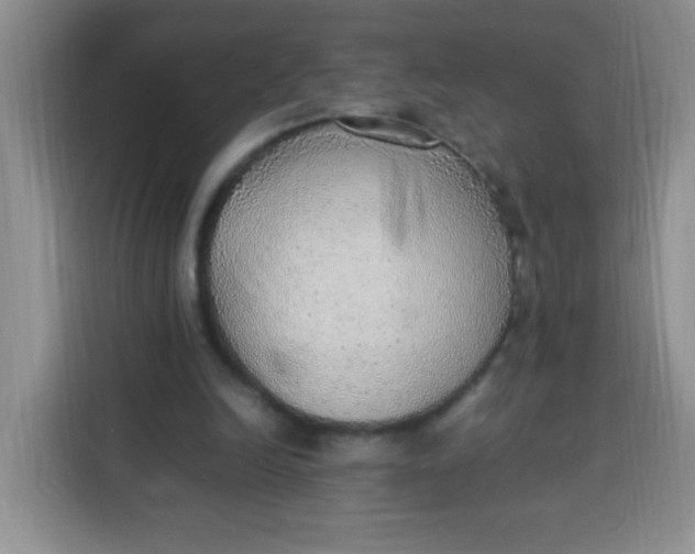 X0000113780246200910141044