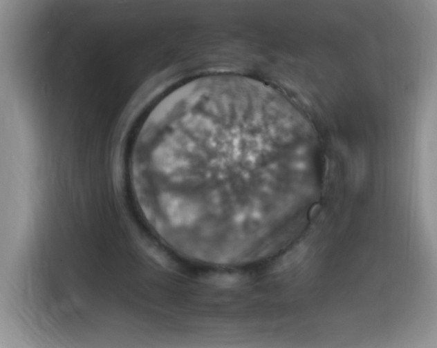 X0000113780247200910141044