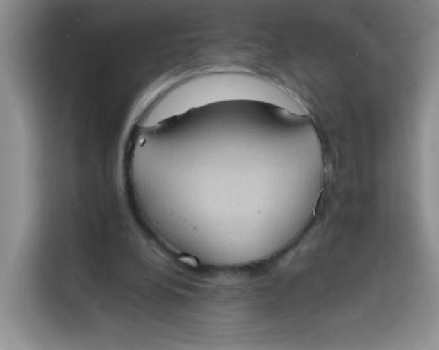 X0000113780248200910141044