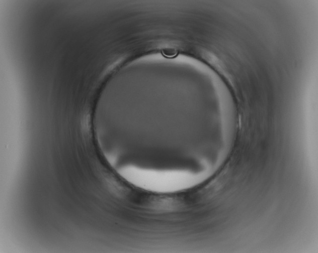 X0000113780249200910141044