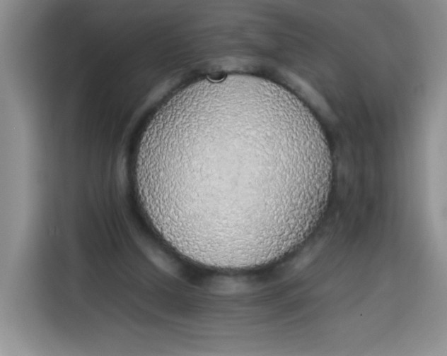 X0000113780250200910141044