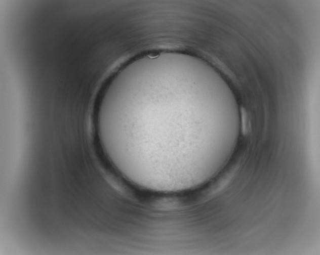 X0000113780252200910141044