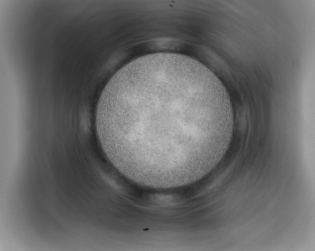 X0000113780255200910141044