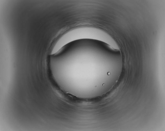 X0000113780256200910141044