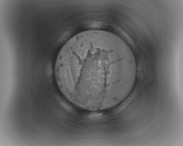 X0000113780257200910141044