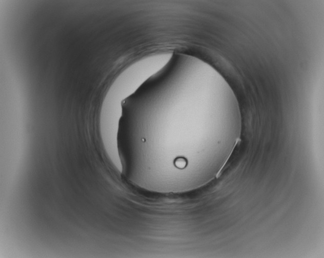 X0000113780260200910141044