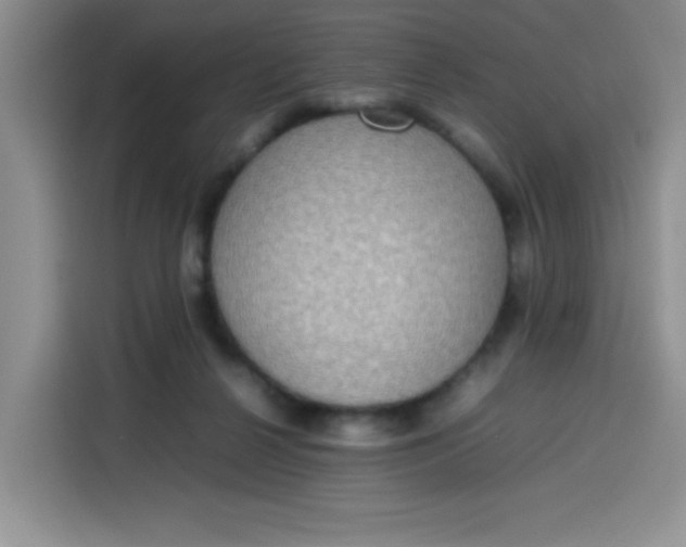 X0000113780264200910141044