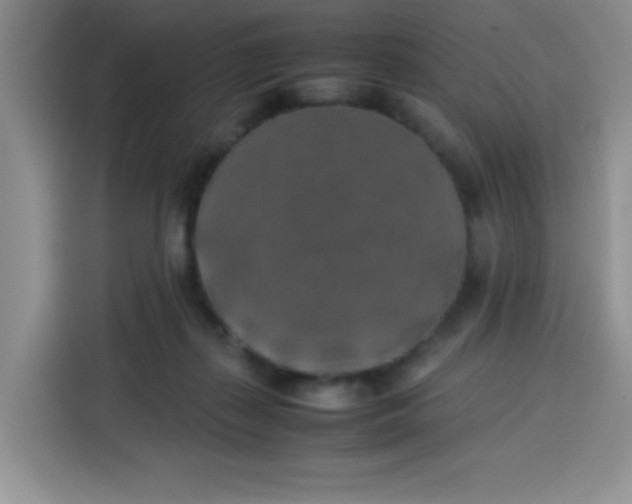 X0000113780267200910141044