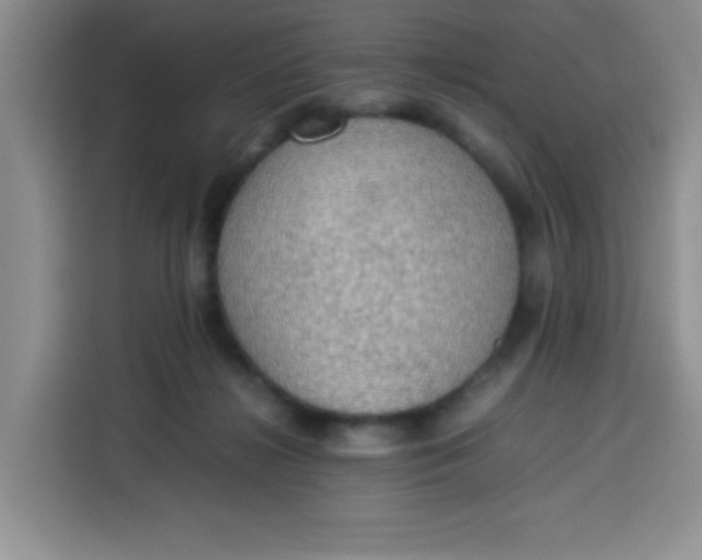 X0000113780268200910141044