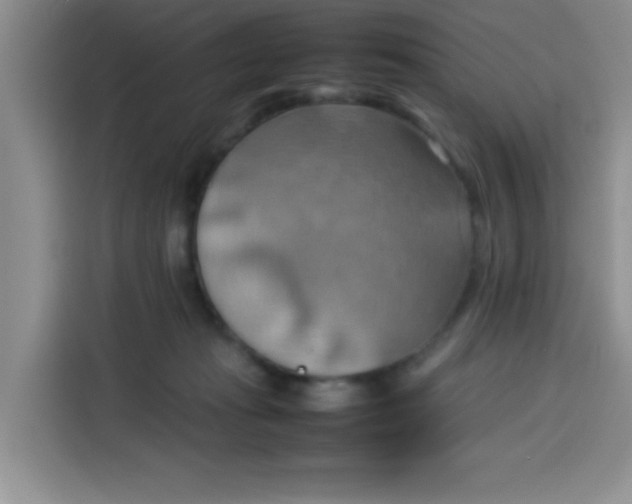 X0000113780269200910141044