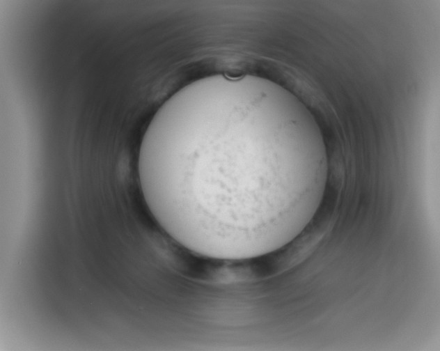 X0000113780270200910141044