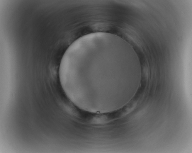 X0000113780271200910141044