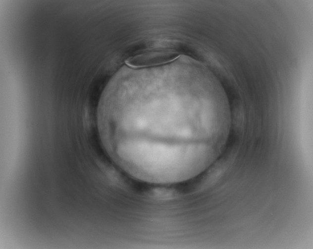 X0000113780272200910141044