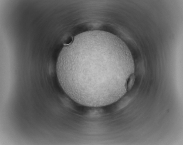 X0000113780274200910141044