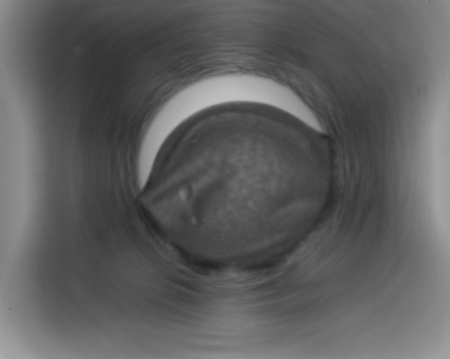 X0000113780276200910141044