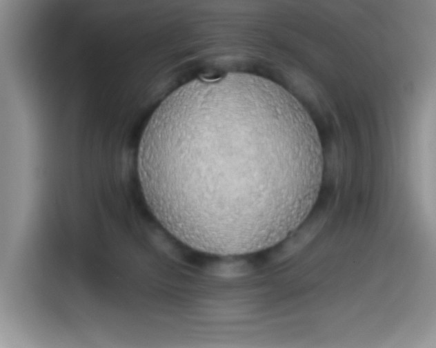 X0000113780278200910141044